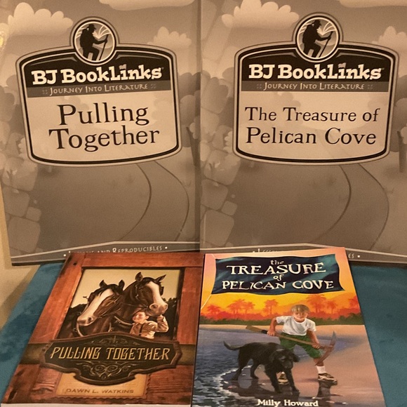 BJ BookLinks Literature Guides Set - Picture 1 of 2